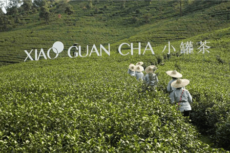 小罐茶再立茶行業(yè)傳播新標桿：用時尚跨界詮釋茶品牌