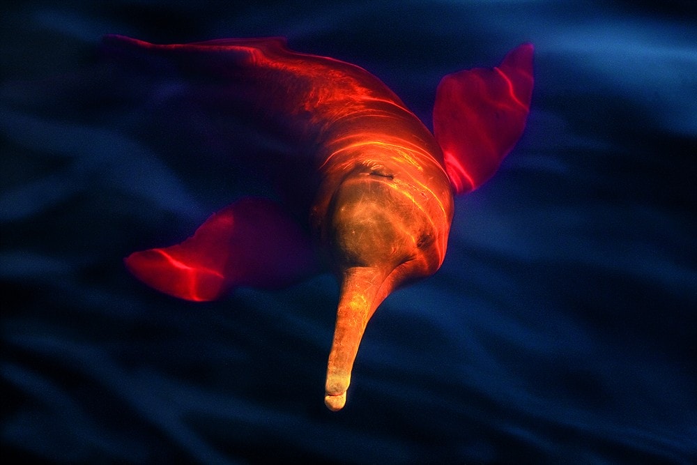 http://www.newswatch247.com/pics/default/download/000ed0afce63d03e7f0f02bf9a48d47d.jpg