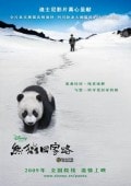 貓熊團圓路