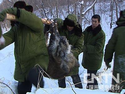 http://www.newswatch247.com/pics/default/download/0931f2ab38b0338215d2237cbc07569f.jpg