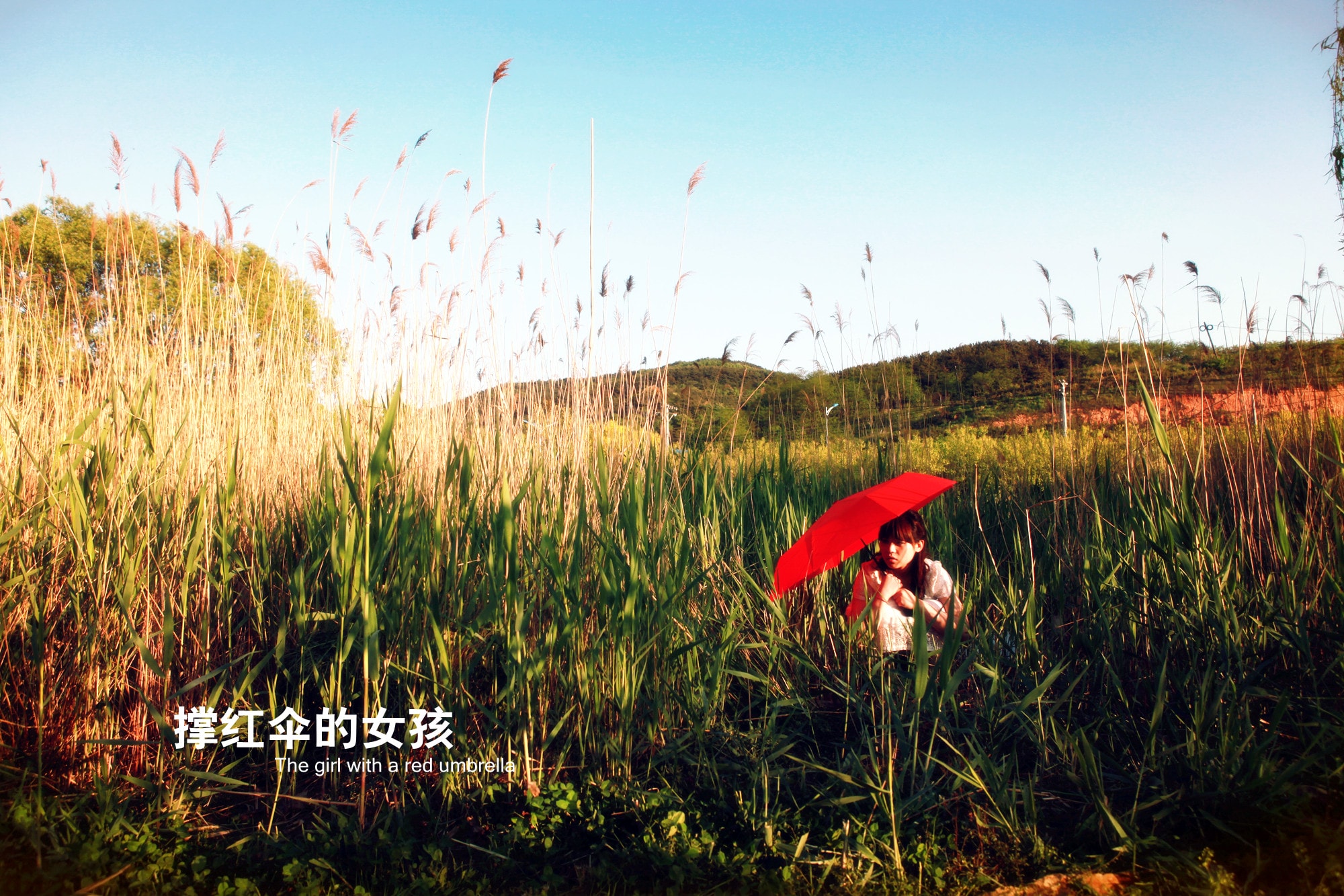 http://www.newswatch247.com/pics/default/download/0aacc8967cbe49388a4bd7dbcc05ad11.jpg