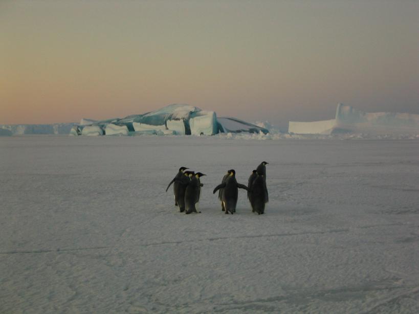 http://www.newswatch247.com/pics/default/download/0b78b141217975dafce49e5e7a1004c7.jpg