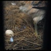 http://www.newswatch247.com/pics/default/download/0bc9301c0560a0a48ec6422653a9aaf4.jpg