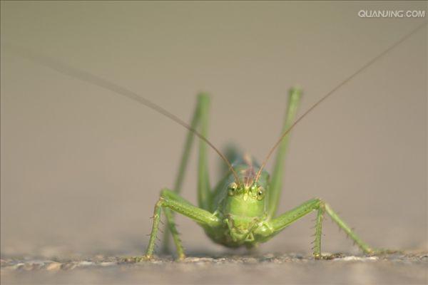http://www.newswatch247.com/pics/default/download/0c7c32b5bd12e0cb915d7f0e12c2faf0.jpg