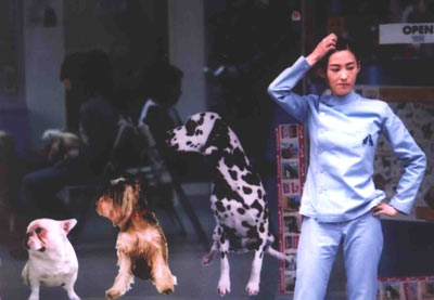 http://www.newswatch247.com/pics/default/download/0cf491da54fe0b62c87738040b5b03be.jpg