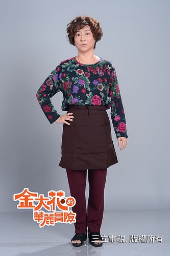 金大花的華麗冒險(xiǎn)  各角色定妝照
