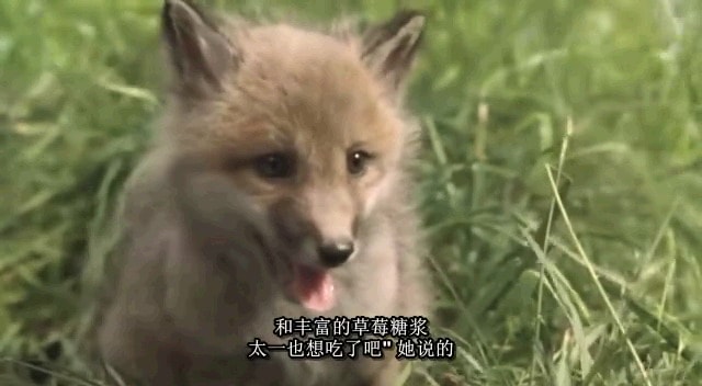 http://www.newswatch247.com/pics/default/download/0e8170b982f8281be97330911507a269.jpg