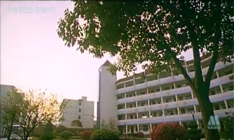 http://www.newswatch247.com/pics/default/download/1291957203747ca5b846a7a2225f7d5f.jpg