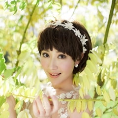 劉芷汐