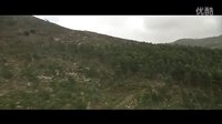 1001個(gè)幻覺段落之縱身一躍（深海長眠）