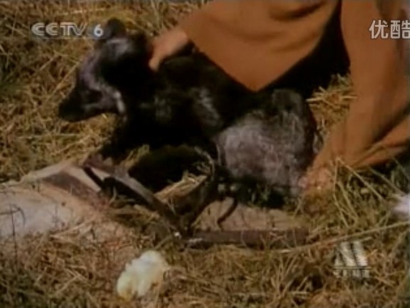 http://www.newswatch247.com/pics/default/download/181d4cd3dcd3b5c89f843cef450e445a.jpg