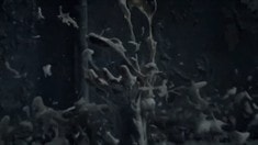 先行版預(yù)告片