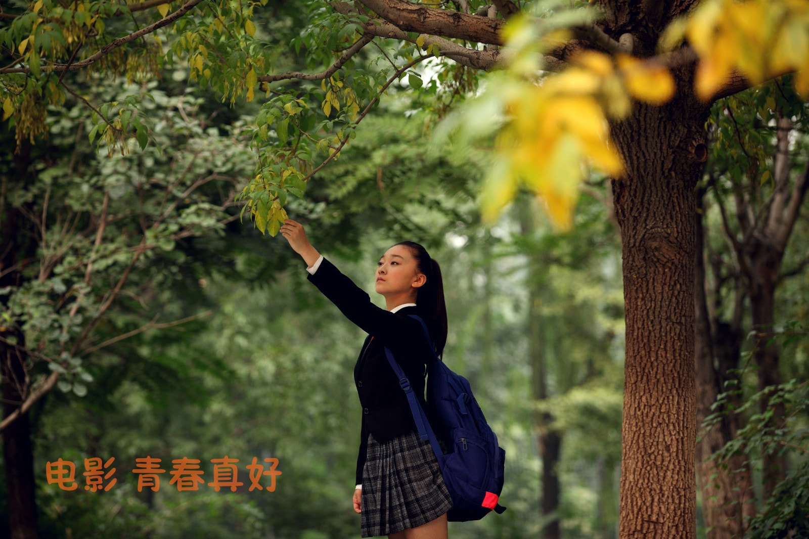 http://www.newswatch247.com/pics/default/download/191b72c07e1a1da43f11f94e7eed35f6.jpg