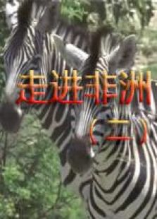 走進非洲（二）