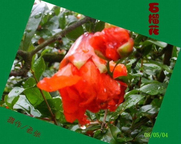 http://www.newswatch247.com/pics/default/download/1c8e63c900a66fc63ceebff399e4f81f.jpg