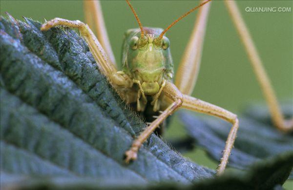 http://www.newswatch247.com/pics/default/download/1cc106b07bb7f6a405c8adb1fef6ffde.jpg