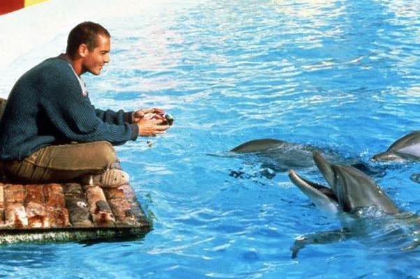 http://www.newswatch247.com/pics/default/download/1d085192ce4b424a99df3878b44bd9a0.jpg