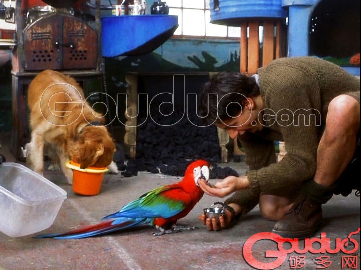 http://www.newswatch247.com/pics/default/download/1d0ac92699a2ca9c8180f2875adb1870.jpg