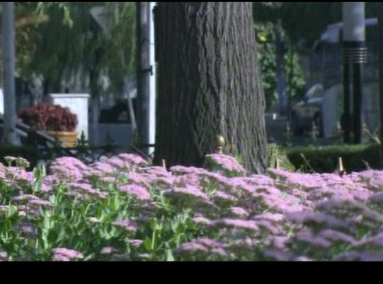 http://www.newswatch247.com/pics/default/download/1d5e7f7ded7850e4ba9ac9e41b32177c.jpg