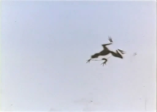 http://www.newswatch247.com/pics/default/download/1e33a3fce929c40ab35ead4721b78f2b.jpg