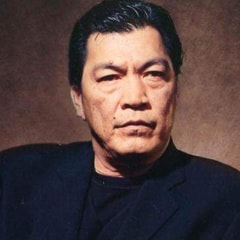 成奎安?