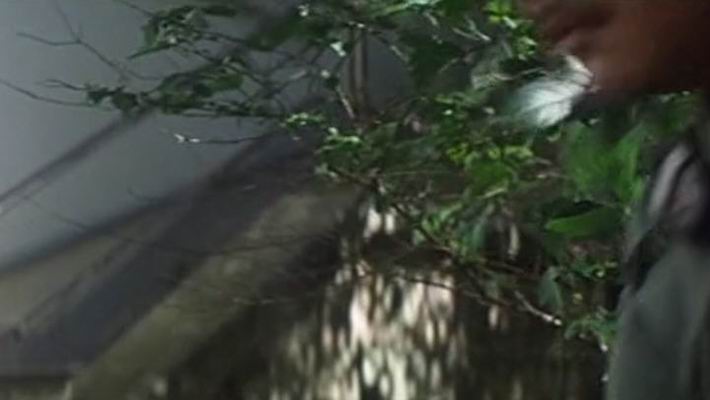 http://www.newswatch247.com/pics/default/download/208a3bc2b8b71882dd49aeac1860a47e.jpg