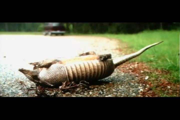 http://www.newswatch247.com/pics/default/download/24b04937cd59972458bfbc9959e3f8a6.jpg