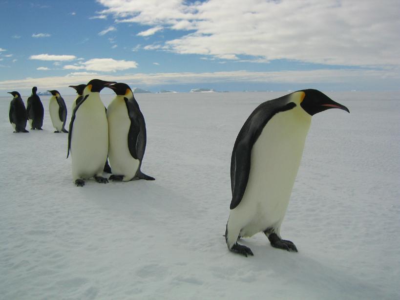 http://www.newswatch247.com/pics/default/download/2613a6fdc8db223140288dc8213d0311.jpg