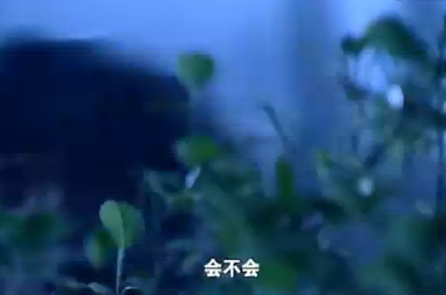 http://www.newswatch247.com/pics/default/download/2647/d04e301ba14a48ccf66ac55d34bd.jpg