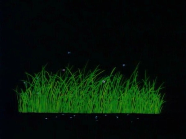 http://www.newswatch247.com/pics/default/download/2654f1f7f6804ec87f0d20e569d51a1c.jpg
