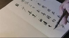 先行版預(yù)告片