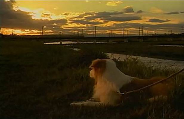 http://www.newswatch247.com/pics/default/download/2ded96e9bac7ad8916c105b6c884eeb9.jpg