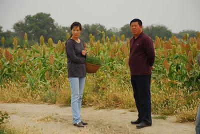 http://www.newswatch247.com/pics/default/download/2f0a744ab58a480799309b9fc46a2eae.jpg