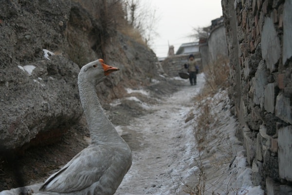 http://www.newswatch247.com/pics/default/download/3370c37c50ee7dfada85b92b779b0992.jpg