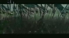 劇場(chǎng)版預(yù)告片1