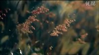 【泰影·Trailer】永恒 ?????????????? 1‘01“(HD無(wú)字)