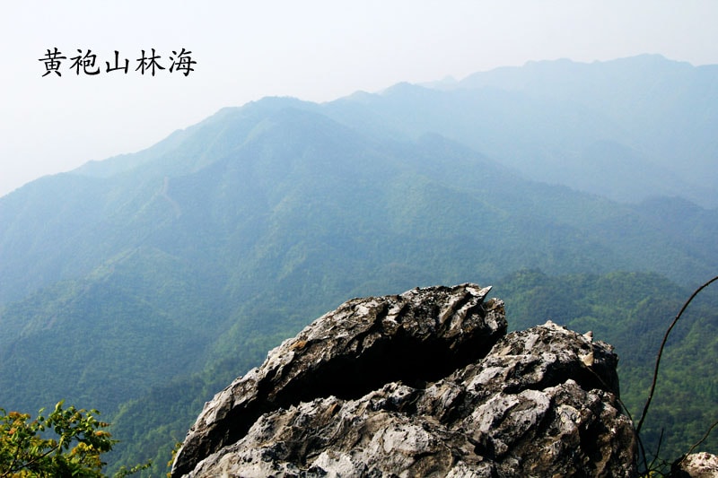 http://www.newswatch247.com/pics/default/download/37f790e0f3e941e8b9b4c300989aa5ab.jpg