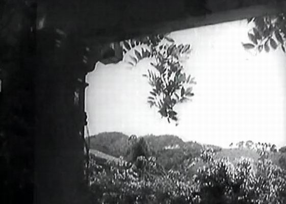 http://www.newswatch247.com/pics/default/download/3808185f897fa29e2ab2282a6125b844.jpg