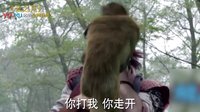 《姐不能忍》：《仙劍云之凡》引發(fā)密集恐懼癥 韓東君鄭元暢被特效暗算