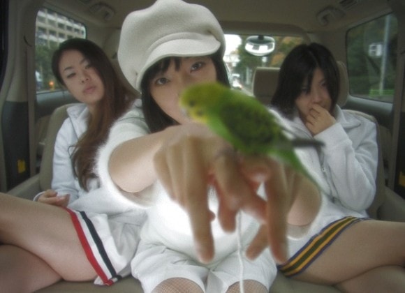 http://www.newswatch247.com/pics/default/download/3a29e28b8ad12eb8e5d19ec70a9f6d39.jpg