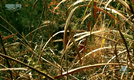 http://www.newswatch247.com/pics/default/download/3a9a93726610f2c81e22dde649ba435c.jpg