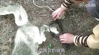 活佛濟(jì)公3第01集陳亮百靈感人愛(ài)情