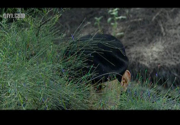 http://www.newswatch247.com/pics/default/download/41010359097318383ee764a85471cf4c.jpg