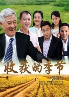 收獲的季節(jié)