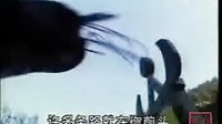 甘十九妹 第二十六集（大結局）第26集