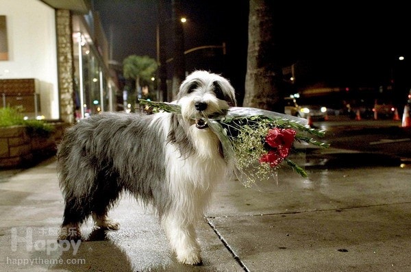 http://www.newswatch247.com/pics/default/download/45a13308d65c64e46a558e42b9936d24.jpg