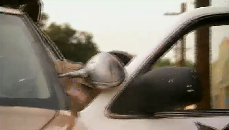 http://www.newswatch247.com/pics/default/download/475a8ef9b04d5fea1aa9333732aa1079.jpg