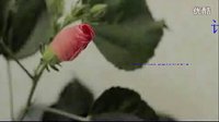 黑河學(xué)院計(jì)算機(jī)科學(xué)與工程系2011迎新生晚會(huì)開(kāi)場(chǎng)視頻