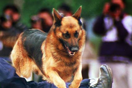 http://www.newswatch247.com/pics/default/download/48d600bf5fe46a0111b3b6d7d2c3f44a.jpg