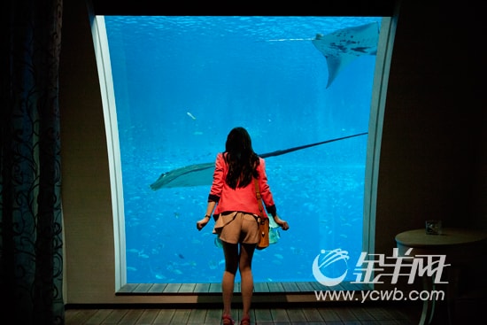 http://www.newswatch247.com/pics/default/download/49deb6a37fee6d05e9f5201f7a294a1e.jpg